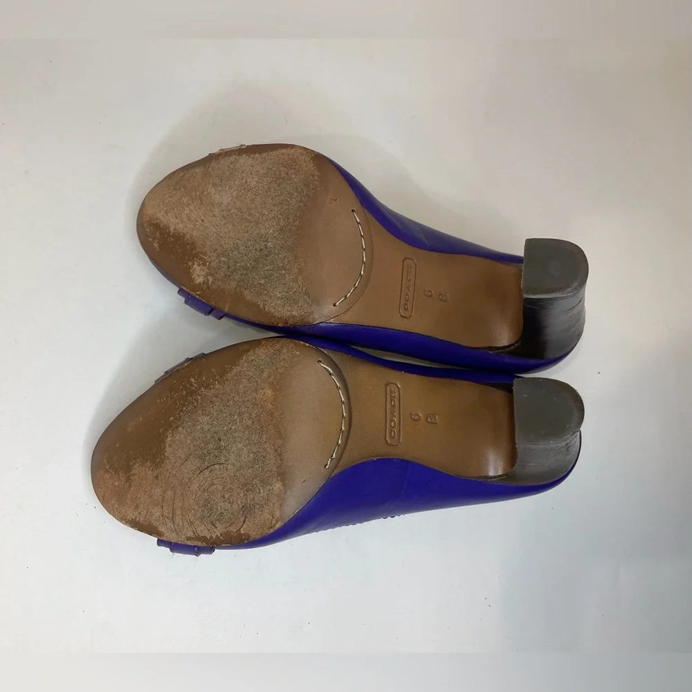 Coach Desaree Purple Bock Heel Pumps Gold Hook‎ Buckle Accent Heels Size 6 B